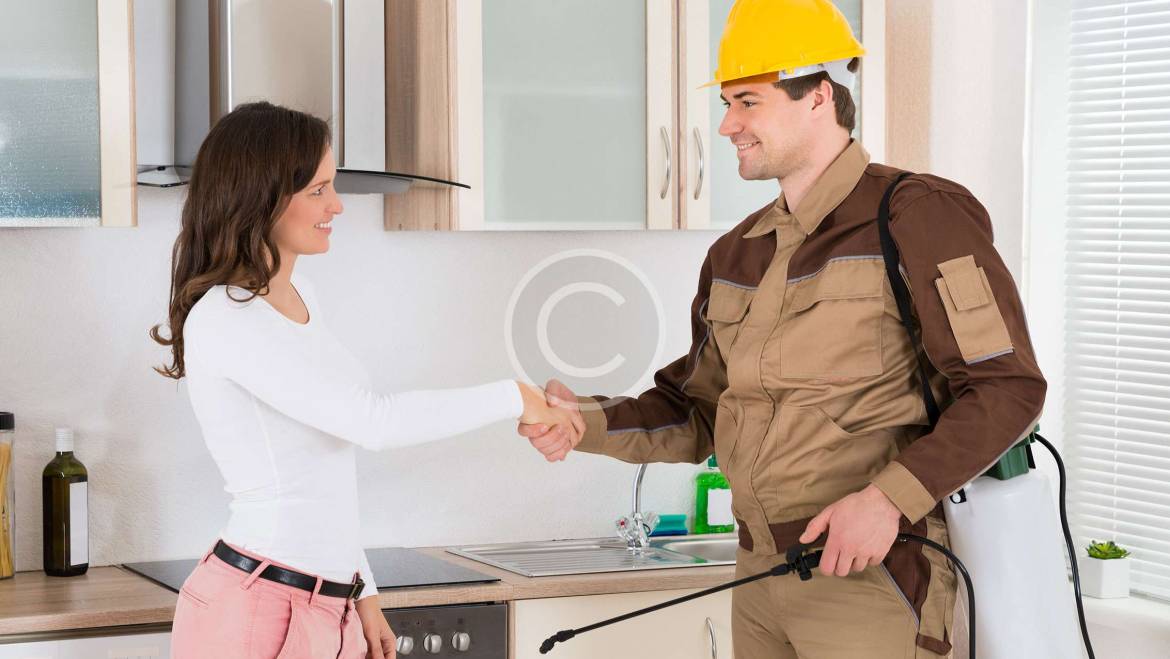 Diệt trừ nhanh chóng