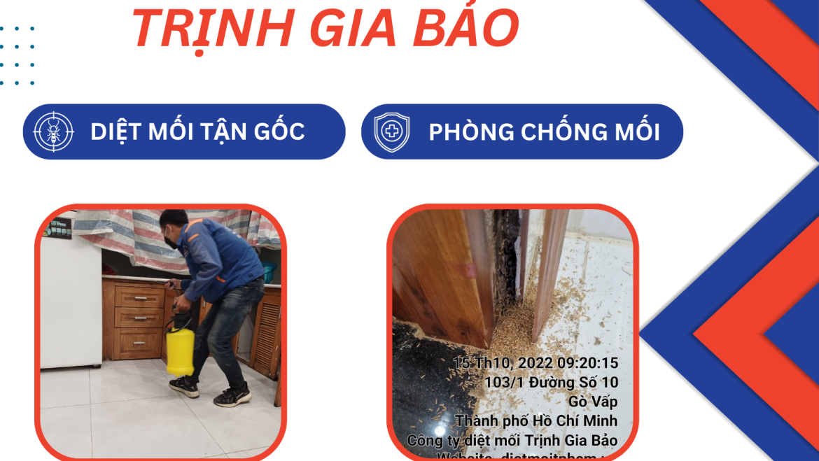 Dịch Vụ Diệt Mối Tận Gốc Quận 7 | Diệt Mối Quận 7 Trịnh Gia Bảo