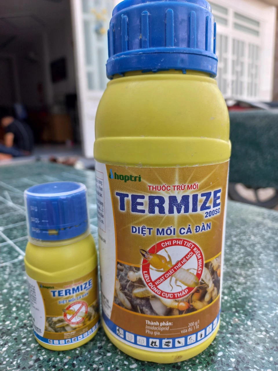 Thuốc Diệt Mối Tiền Giang