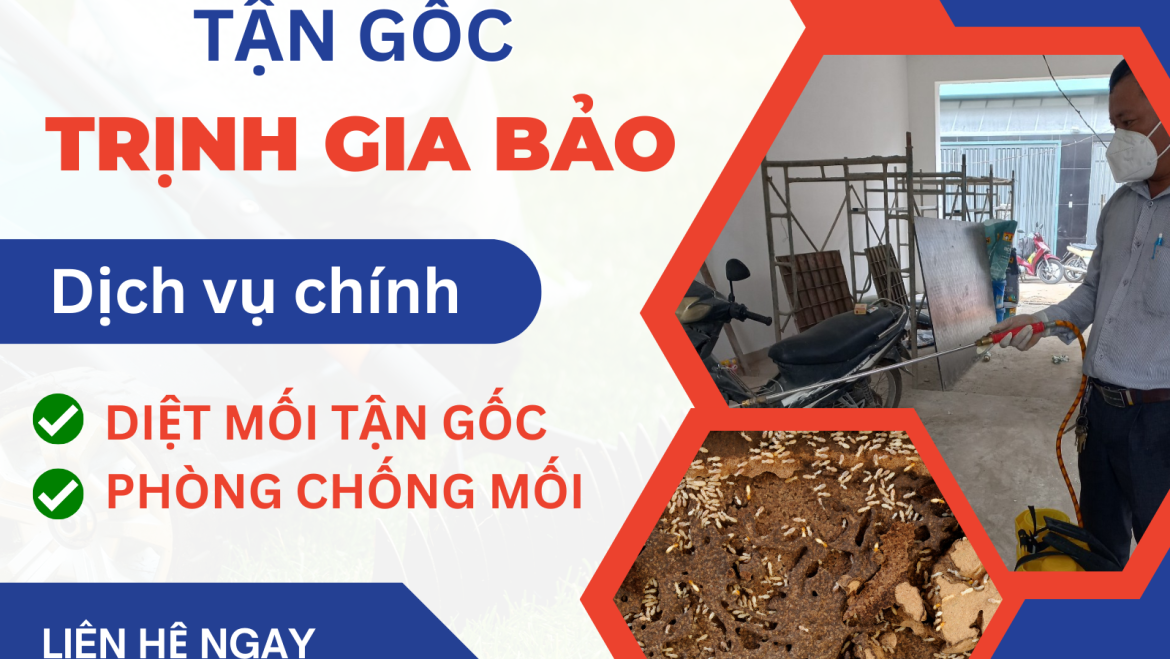 Diệt Mối Tại Tân Phú | Diệt Mối Tân Phú Trịnh Gia Bảo
