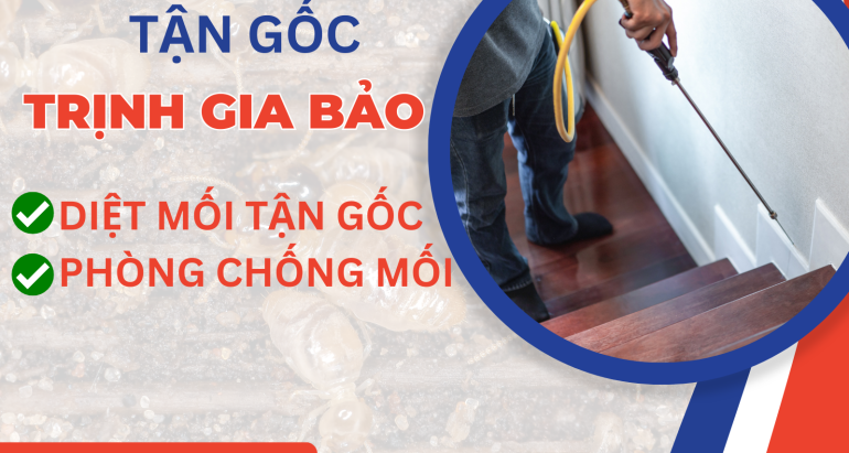 Phòng Chống Mối | Công Ty Phòng Chống Mối Trịnh Gia Bảo