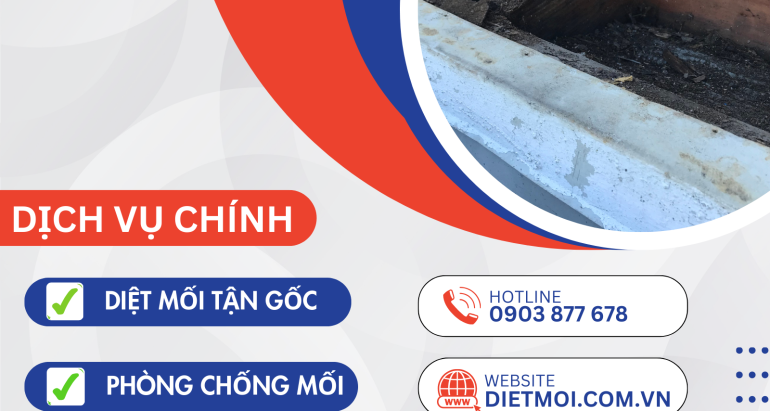 Diệt Mối Tại Phường Hoà Bình | Diệt Mối Phường Hoà Bình Trịnh Gia Bảo 1