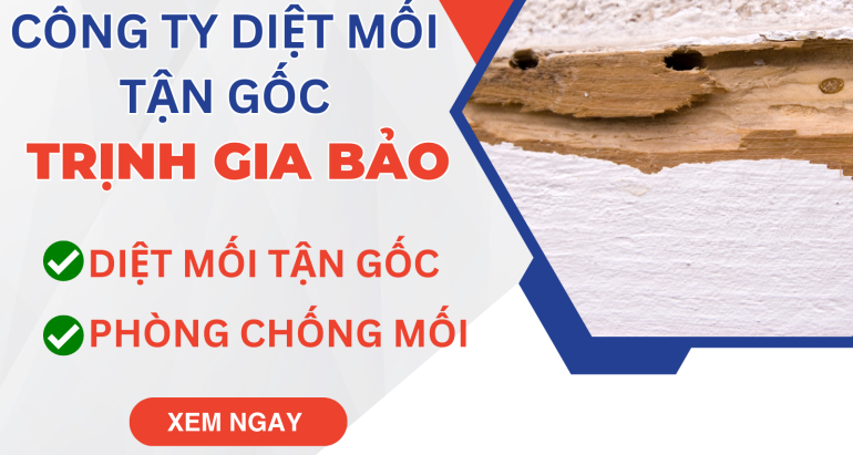 Diệt Mối Tại Phường Tân Bình Diệt Mối Trịnh Gia Bảo
