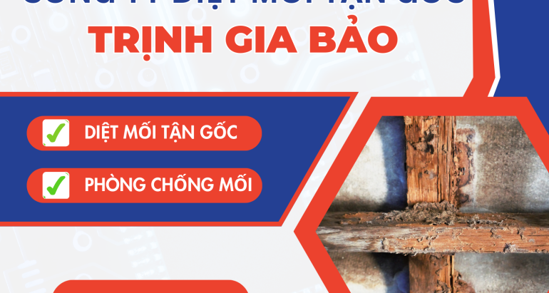 Diệt Mối Tại Phường Gia Định | Diệt Mối Trịnh Gia Bảo