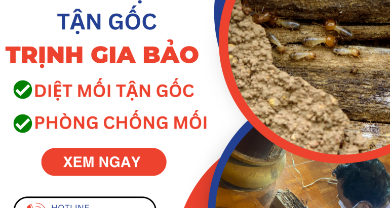 🐜 Dịch Vụ Diệt Mối Tại Phường Thủ Đức – Trịnh Gia Bảo Uy Tín, Tận Gốc