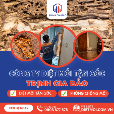 Top 20 Công Ty Diệt Mối Tận Gốc Uy Tín Nhất Tại Thủ Đức