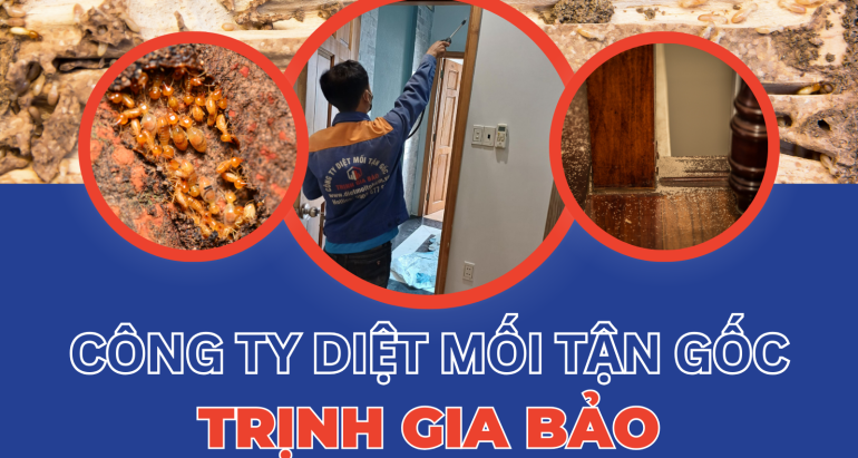 Top 20 Công Ty Diệt Mối Tận Gốc Uy Tín Nhất Tại Thủ Đức