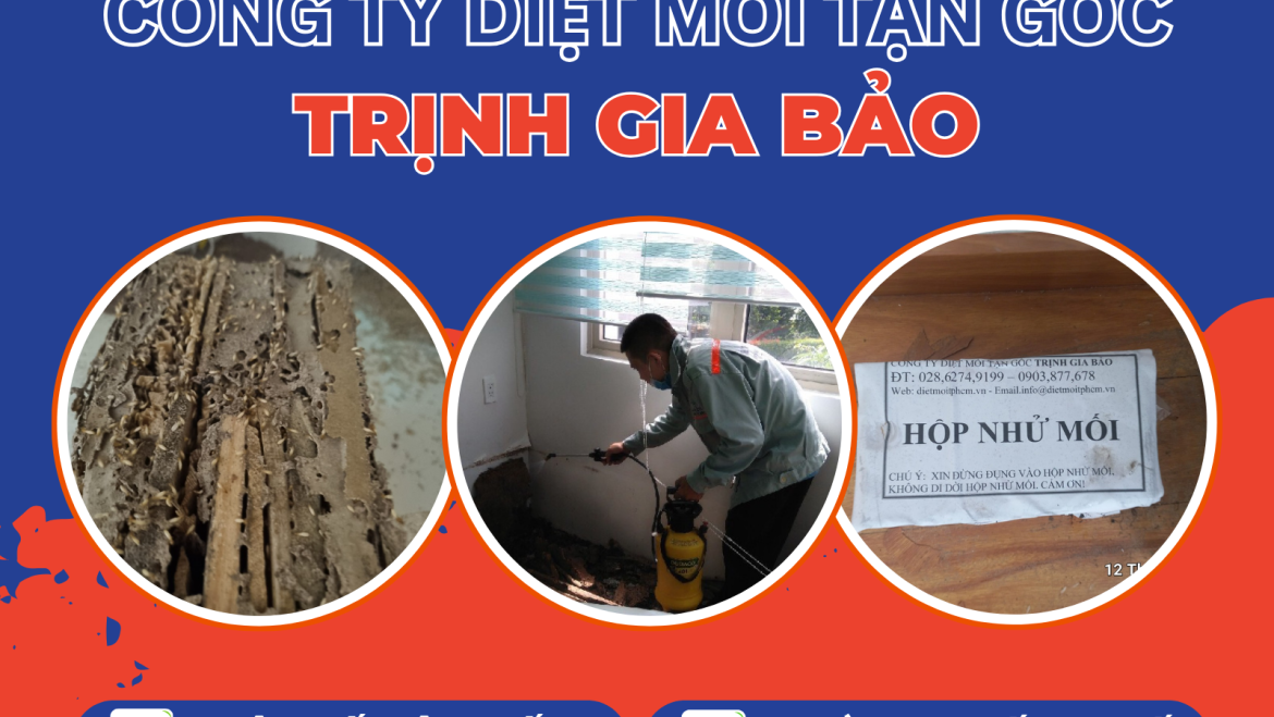 Diệt Mối Tại Phường Hạnh Thông | Diệt Mối Phường Hạnh Thông Trịnh Gia Bảo