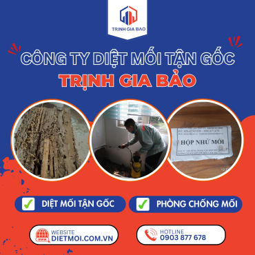 Diệt Mối Tại Phường Hạnh Thông | Diệt Mối Phường Hạnh Thông Trịnh Gia Bảo