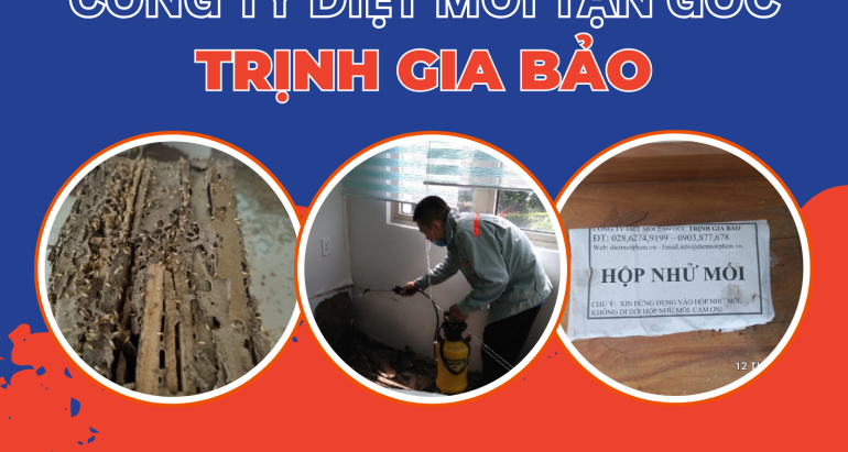 Diệt Mối Tại Phường Hạnh Thông | Diệt Mối Phường Hạnh Thông Trịnh Gia Bảo
