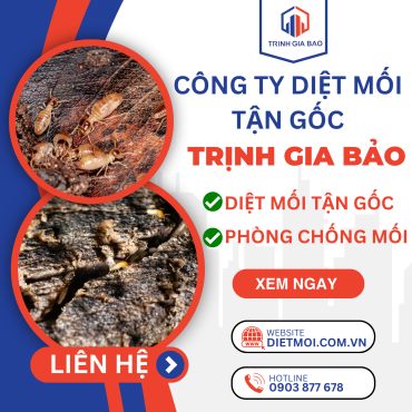 Diệt Mối Tại Phường Gò Vấp | Diệt Mối Phường Gò Vấp Trịnh Gia Bảo