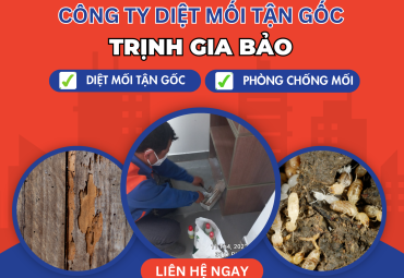 Diệt Mối Tại Phường An Hội Đông | Diệt Mối Phường An Hội Đông