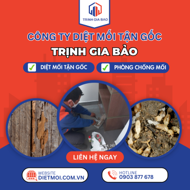 Diệt Mối Tại Phường An Hội Đông | Diệt Mối Phường An Hội Đông